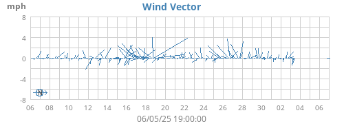 Wind Vector