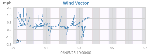 Wind Vector